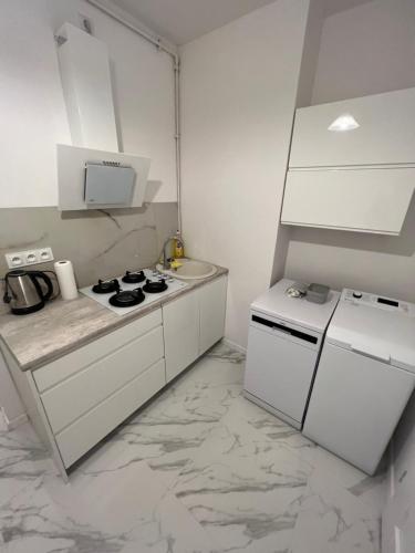 Η κουζίνα ή μικρή κουζίνα στο Apartamenty przy parku. Stare Miasto.