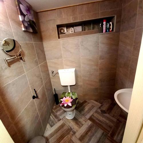 a bathroom with a toilet and a sink at Casa Quattro stagioni Fruska gora in Čerević