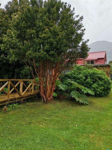 a tree in the grass next to a wooden bridge at Departamento Rossbach in Puerto Puyuhuapi
