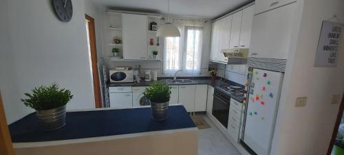 eine weiße Küche mit Topfpflanzen auf einer Theke in der Unterkunft CASA LUCHI in A Coruña