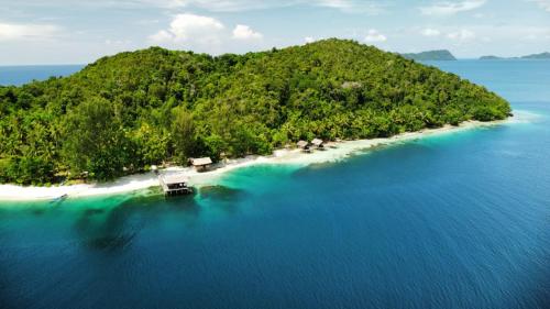 an island in the middle of the ocean at Meos Ambower Homestay Raja Ampat in Fam