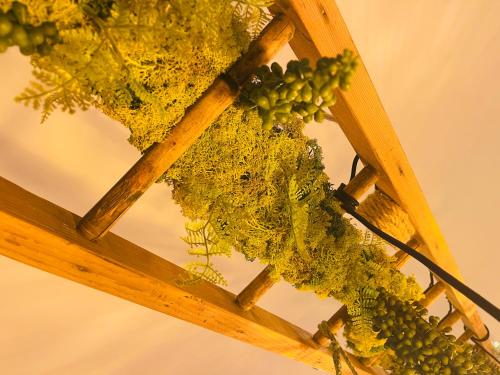 a bunch of green grapes on a wooden frame at Au café de Jeanne - Entrelacs in Pouilly