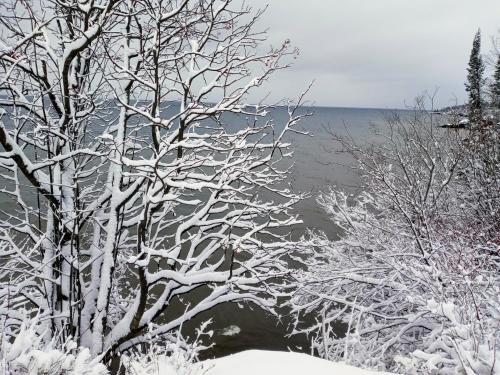 a group of trees covered in snow next to a body of water at Cliff Dweller on Lake Superior in Tofte