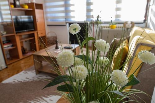 a vase filled with white flowers in a living room at Michel FREE PARKING in Vranje