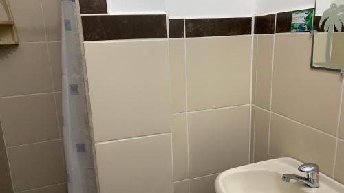 a bathroom with a sink and a shower at Hotel Palmar del Río Premium in Archidona