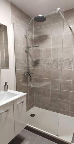 La salle de bains est pourvue d'une douche avec une porte en verre. dans l'établissement logement 5 personnes proche CV et parking privé, à Saint-Étienne