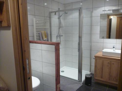 Appartement Le Hibou في كورشوفيل: حمام مع دش ومرحاض ومغسلة
