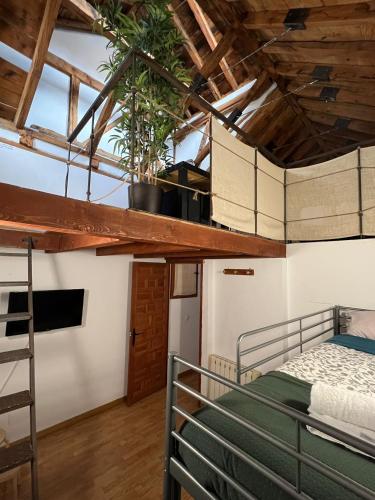 a loft bedroom with a bed and a plant at Ático dúplex en Centro Histórico Toledo in Toledo