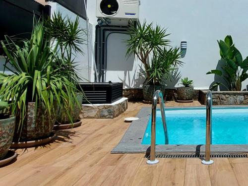 una piscina in una stanza con piante in vaso di Villa Playa Amadores - Luxury villa with heated pool a Puerto Rico de Gran Canaria