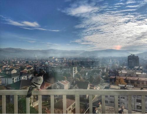 a person sitting on the edge of a balcony overlooking a city at Apartman Panorama Niksic in Nikšić