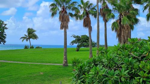 a park with palm trees and the ocean at Studio Premium Vue Mer, Plage in Sainte-Luce