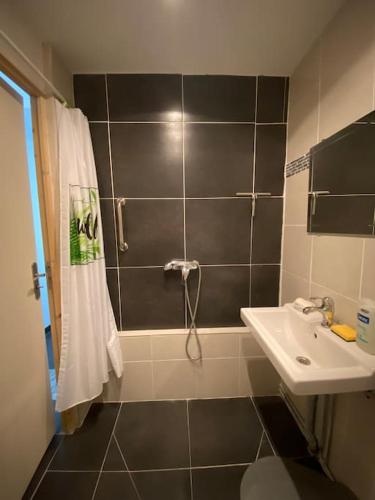 une salle de bain avec toilettes, lavabo et douche dans l'établissement Maison avec piscine intérieure chauffée,sauna, et billard, à Bretteville-sur-Ay