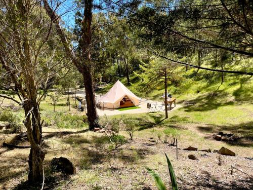Un paisaje natural cerca del tented camp