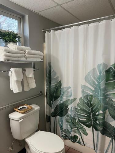 a bathroom with a toilet and a shower curtain at Carbone's Beachside Guest Rooms in Sylvan Beach