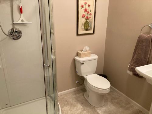 a bathroom with a toilet and a shower at Beautiful Parkside Suite in Saint James