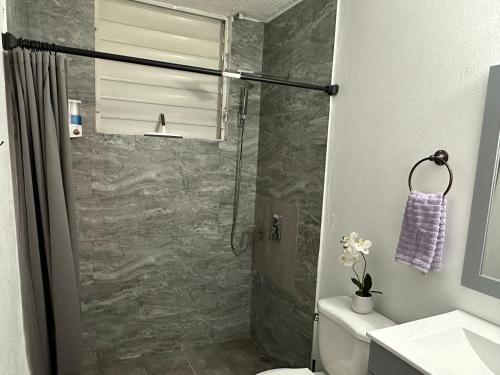 a bathroom with a shower and a toilet at Whole House by Beach - Relaxing & Family Friendly! 