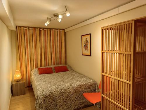 サンタンデールにあるPiso céntrico en Santanderのベッドルーム(ベッド1台、本棚付)