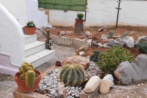 a garden with cacti and plants in a yard at Marco Polo's Mooring Cozy Navy House in Anavissos