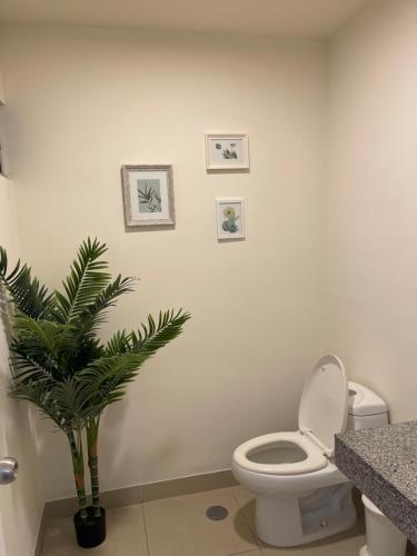 a bathroom with a toilet and a potted plant at Book in Miraflores - Lima in Lima