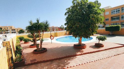 una piscina con alberi in vasi accanto a un edificio di Miramar Beach Apartment a El Médano