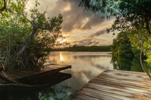 Yaxchen Tulum Cabanas & Cenote