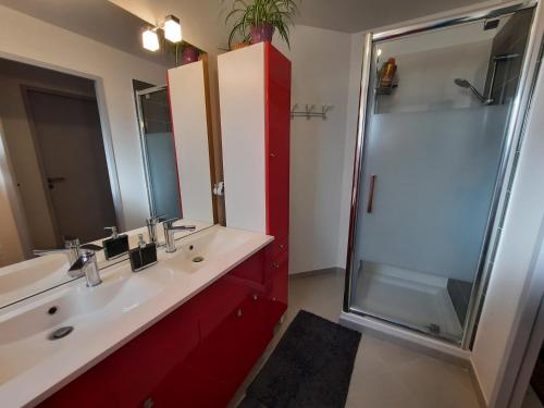 ein Bad mit einer Dusche, einem Waschbecken und einem Spiegel in der Unterkunft Fionella 