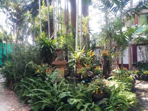 Ảnh trong thư viện ảnh của Garden House INChiangrai ở Chiang Rai