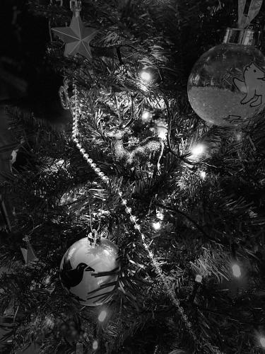a christmas tree with christmas ornaments on it at Potter's Place by Ardenne Places in Theux