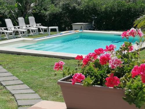 a swimming pool with flowers in a yard at Strelitzia's house with heated pool , private garden and private parking & wi-fi in Avola
