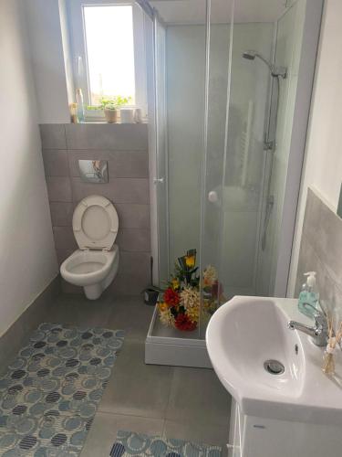 a bathroom with a toilet and a shower and a sink at Casa Zeus in Seini