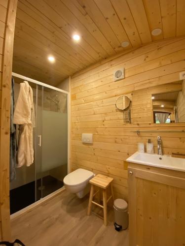 蒂永維勒的住宿－Les roulottes a Sandie，浴室配有卫生间、盥洗盆和淋浴。