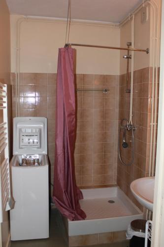 baño pequeño con ducha y lavamanos en Studio Barbotan en Barbotan-les-Thermes