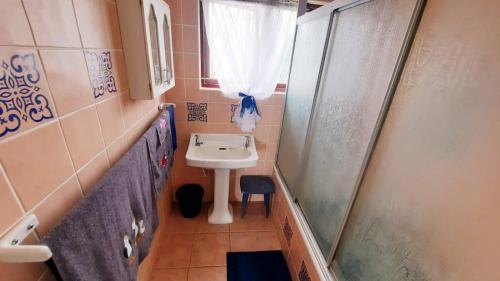 uma pequena casa de banho com um lavatório e um chuveiro em Alpero Umtentweni em Port Shepstone