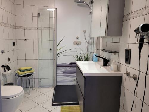 a bathroom with a sink and a toilet and a shower at Ferienwohnungen Luge - Winterberg in Winterberg