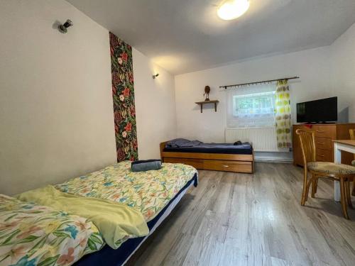 a bedroom with two beds and a table and a tv at Agroturystyka"u Piwowara" in Kłodzko
