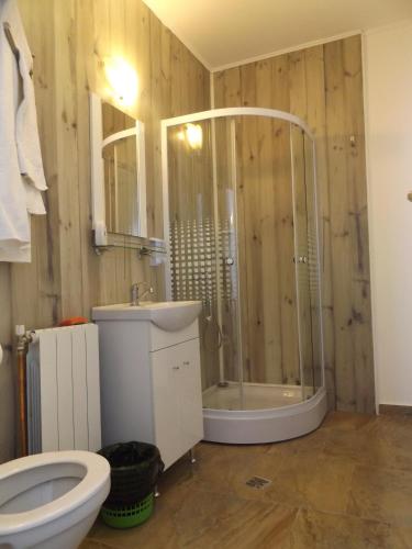 a bathroom with a shower and a toilet and a sink at Cabana Telescaun in Petroşani