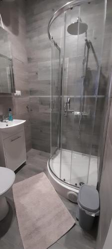 y baño con ducha, aseo y lavamanos. en Apartament w Centrum, en Sulechów