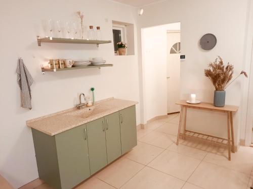 a kitchen with a sink and a counter at Casa Køster studio in Odense