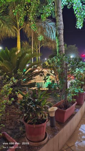 a row of potted plants on a wall with palm trees at TGV Hotel in Ahmedabad