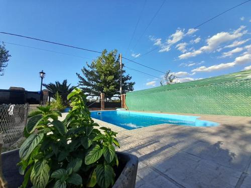 una piscina en un patio con una valla verde en Los trevi en Rosario