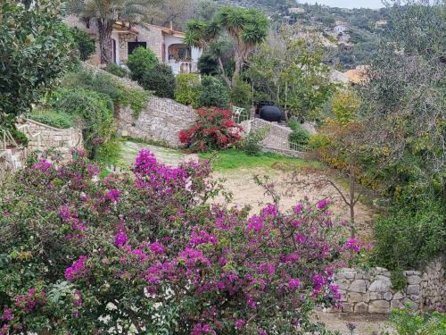 Φωτογραφία από το άλμπουμ του Yiannas Studio στον Γάιο