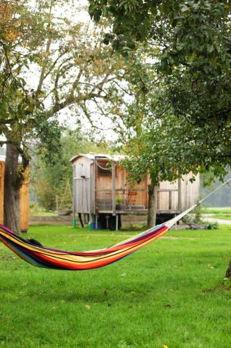 a hammock sitting in a yard in a field at Tinyhaus auf dem Schacherbauerhof in Mehring