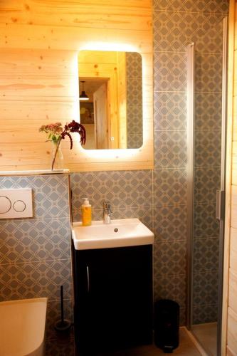 a bathroom with a sink and a mirror at Tinyhaus auf dem Schacherbauerhof in Mehring