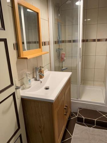 une salle de bain avec un lavabo et une douche dans l'établissement Nevers, appartement de standing proche de la gare, à Nevers