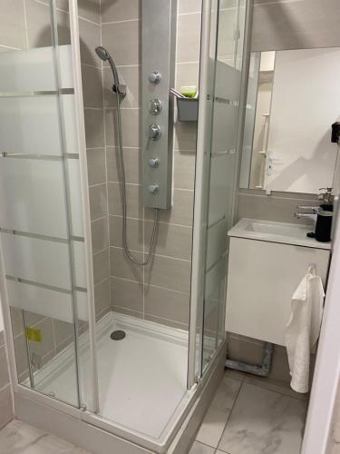 La salle de bains est pourvue d'une douche avec une porte en verre. dans l'établissement Chantignolle, proche aéroport, à Tillé