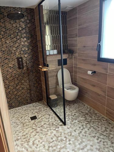 uma casa de banho com um chuveiro e um WC. em Chambre avec entrée privée em Saint-Renan