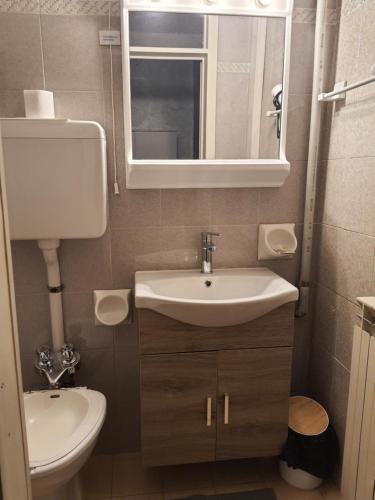 bagno con lavandino, servizi igienici e specchio di hotel Bologna a Fanano