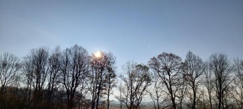 a group of trees with the sun behind them at Bacio-Bacio Apartamenty in Jelenia Góra