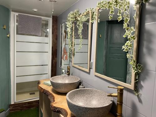 Koupelna v ubytování L Ensorcel Mans, séjour magique en coeur de ville