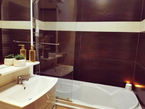 a bathroom with a sink and a shower and a tub at Nice & economic Studio in Baia Mare